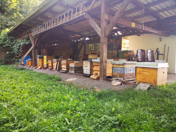 Beuten am Lehrbienenstand